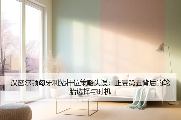 han-mi-er-dun-xiong-ya-li-zhan-gan-wei-ce-lve-shi-wu-zheng-sai-di-wu-bei-hou-de-lun-tai-xuan-ze-yu-shi-ji-3-814.jpg